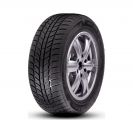 Шины зимние R15 195/55 85H ROADX RXFROST WH01